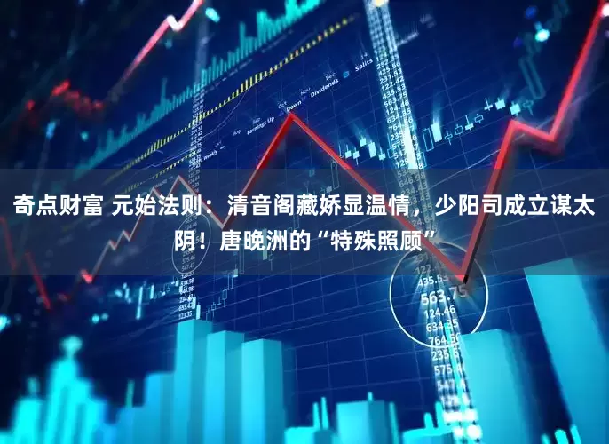 奇点财富 元始法则：清音阁藏娇显温情，少阳司成立谋太阴！唐晚洲的“特殊照顾”
