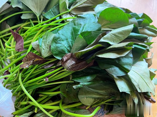 顺应网 晒晒我家快手晚餐，一把红薯叶做出营养健康简单美食