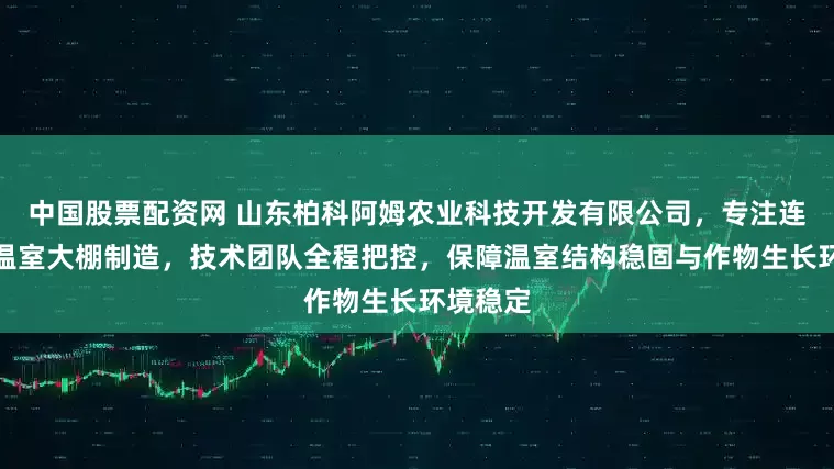 中国股票配资网 山东柏科阿姆农业科技开发有限公司，专注连栋玻璃温室大棚制造，技术团队全程把控，保障温室结构稳固与作物生长环境稳定